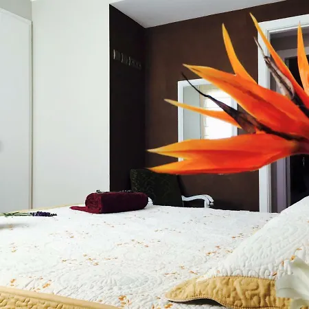 Lo Raconet Apartment Deltebre