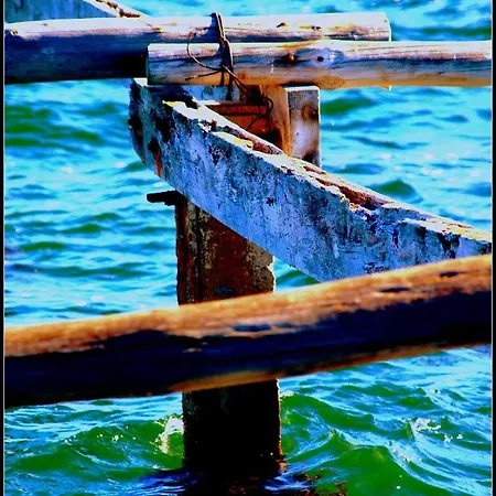 Lo Raconet * Deltebre